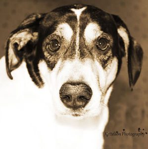 Meet your Posher, Ryann